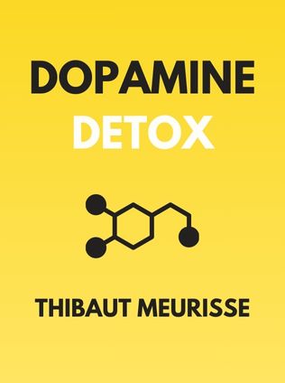 Dopamine Detox by Thibaut Meurisse - Book Cover