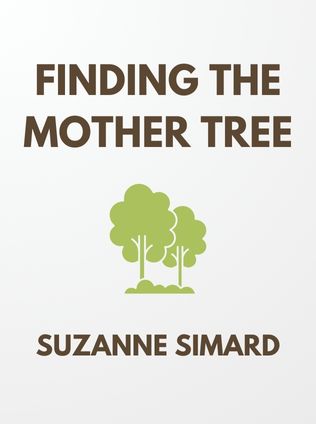 Finding the Mother Tree by Suzanne Simard - Book Cover