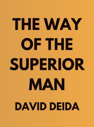 The Way Of The Superior Man by David Deida - Book Cover