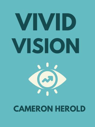 Vivid Vision by Cameron Herold - Book Cover